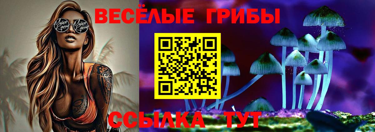 Псилоцибиновые грибы ЛСД Котельники